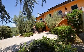 Poggio Degli Olivi